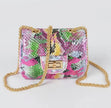 Multi-color Snake Pattern Mini Clutch